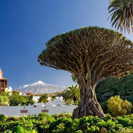 Daire Eden Caletillas Peace Candelaria